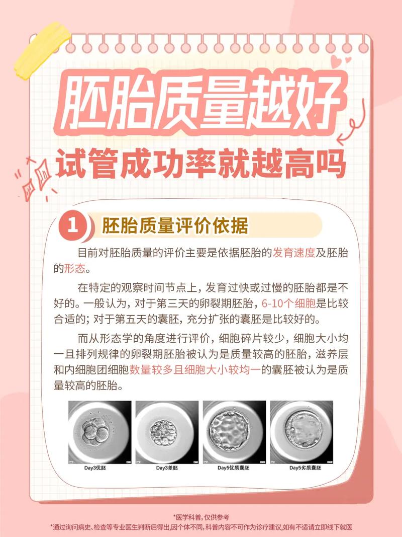 国内试管代怀成功率怎么样(国内试管代怀成功率调查及分析)
