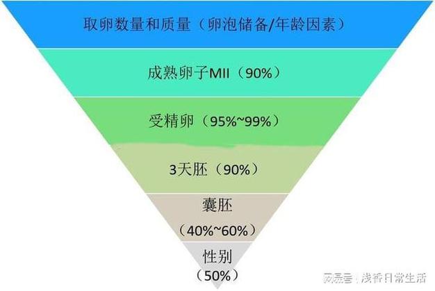 国内试管代怀怎么样【国内试管代怀怎么样？详细解读试管代怀孕流程及注意事项】