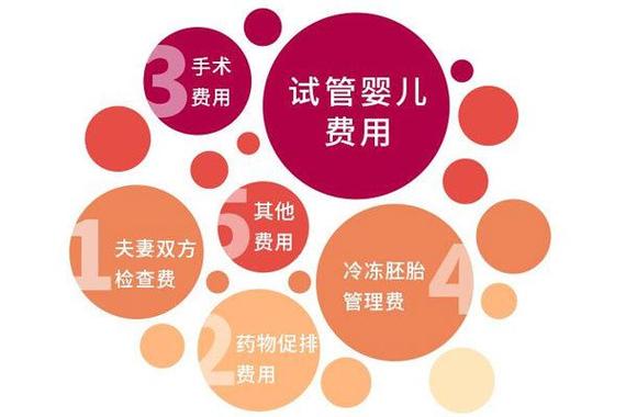 包生试管代怀【包生试管代怀：新生命的希望】