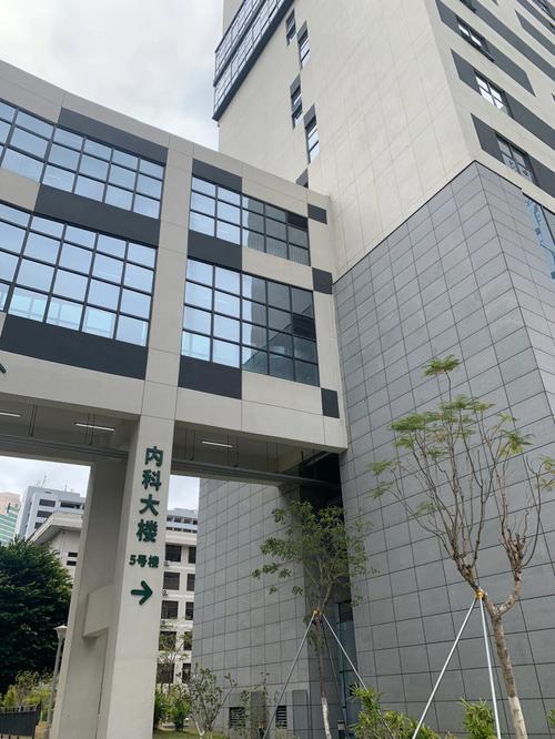 深圳代生孩子医院(深圳代生孩子医院：专业代孕服务，安全可靠)