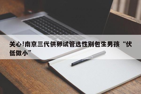 国内供卵代生男孩_国内供卵代生男孩：新生育选择引关注