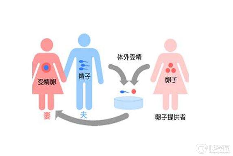 深圳供卵试管流程【深圳供卵试管流程解析】