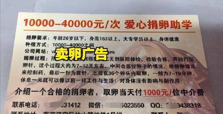 深圳三代供卵试管孩子价格-深圳三代供卵试管孩子价格解析
