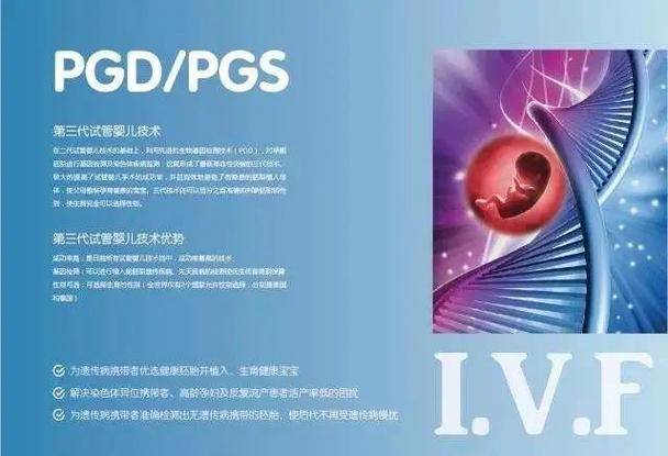 2024试管代怀合法-2024年试管代怀合法：新生命的希望